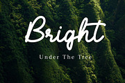 Giftmas - Monoline script font, a Script Font by Fontcastle (Thumbnail 4 of 7)