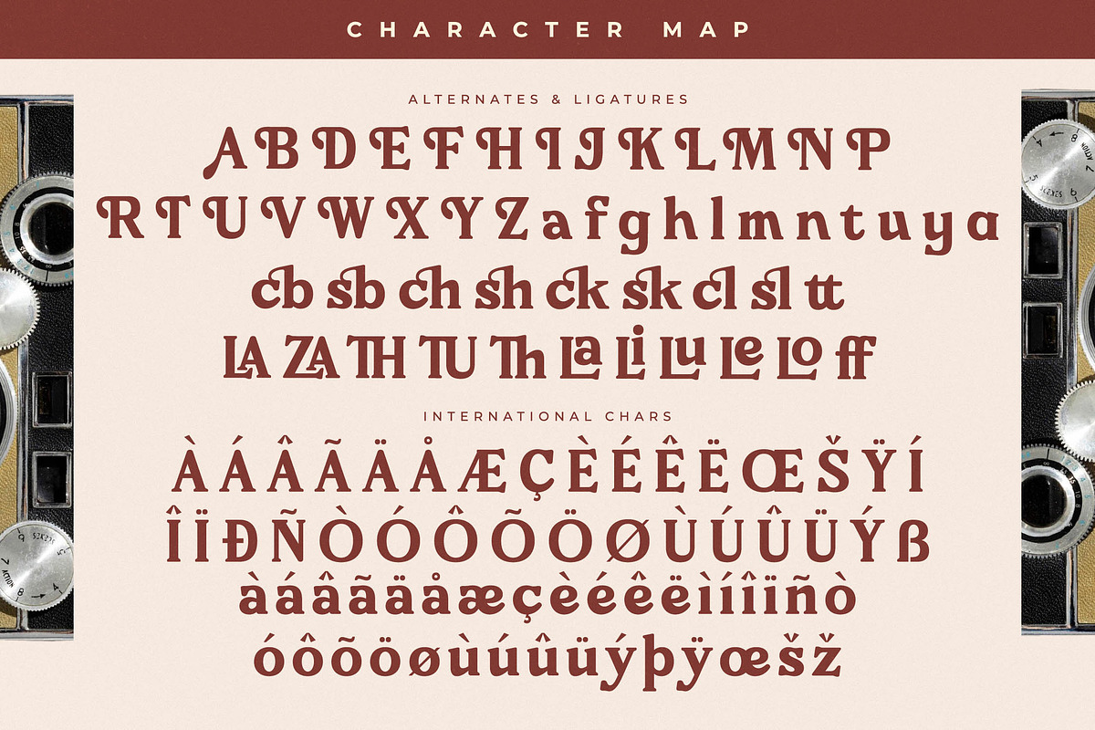 Bricks Antique Modern Vintage Serif, a Serif Font by Letterena Studios (Photo 14 of 15)