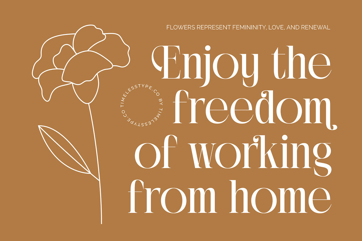 Rich Dashy Modern Elegant Serif, a Script Font by timelesstype.co (Photo 13 of 20)