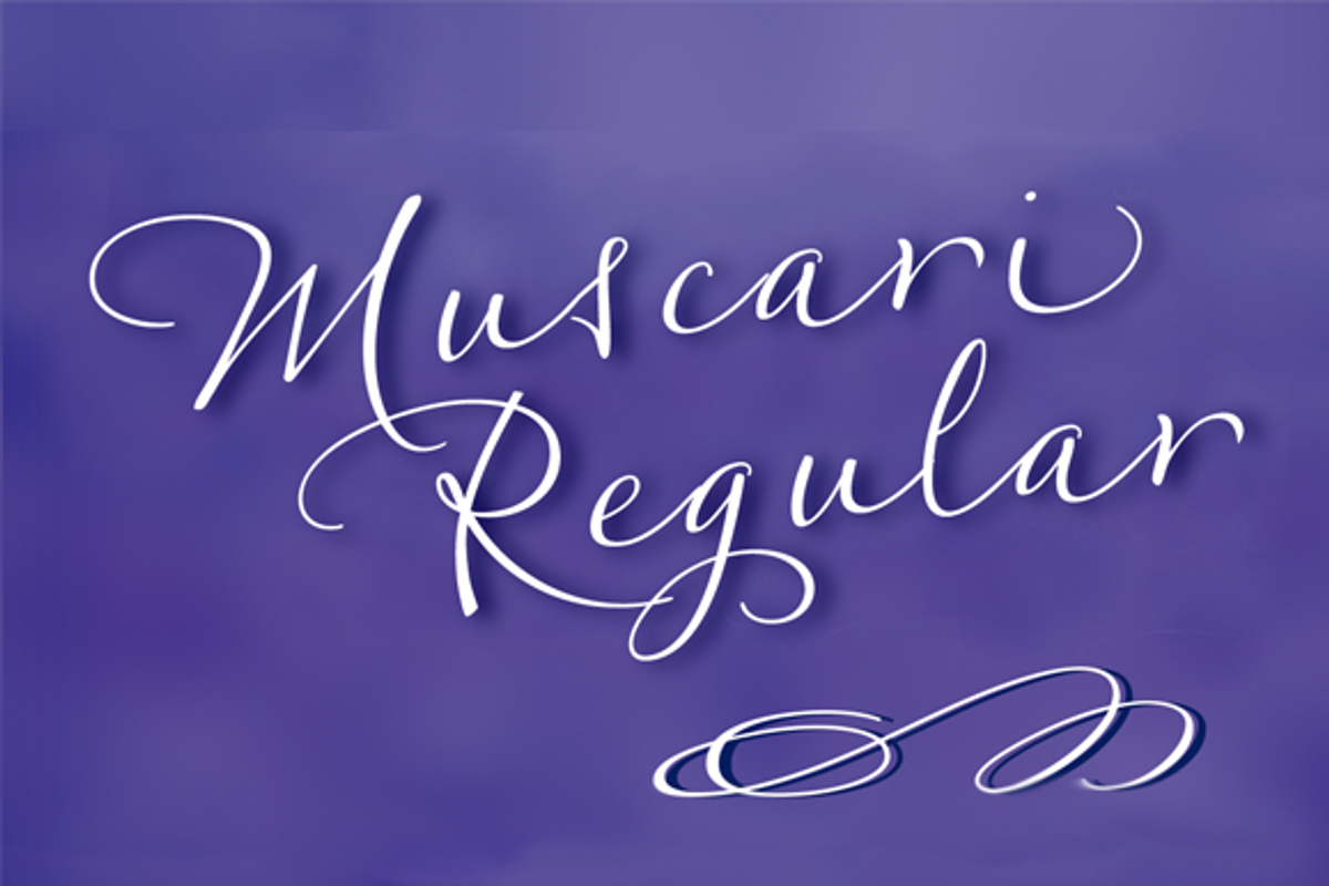 Muscari Regular