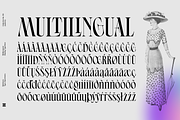 Ephidona, a Serif Font by Bagerich Type Foundry (Thumbnail 12 of 16)