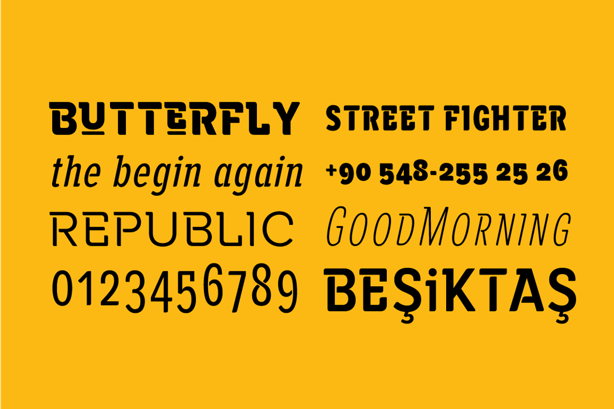 Alaturka - 30% SAVE, a Sans Serif Font by BULENT YUKSEL (Photo 8 of 15)