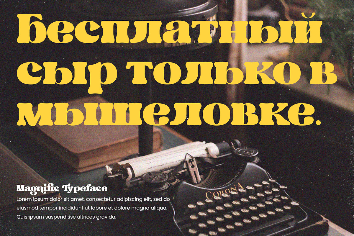 Magnific, a Script Font by Nathatype (Photo 6 of 10)