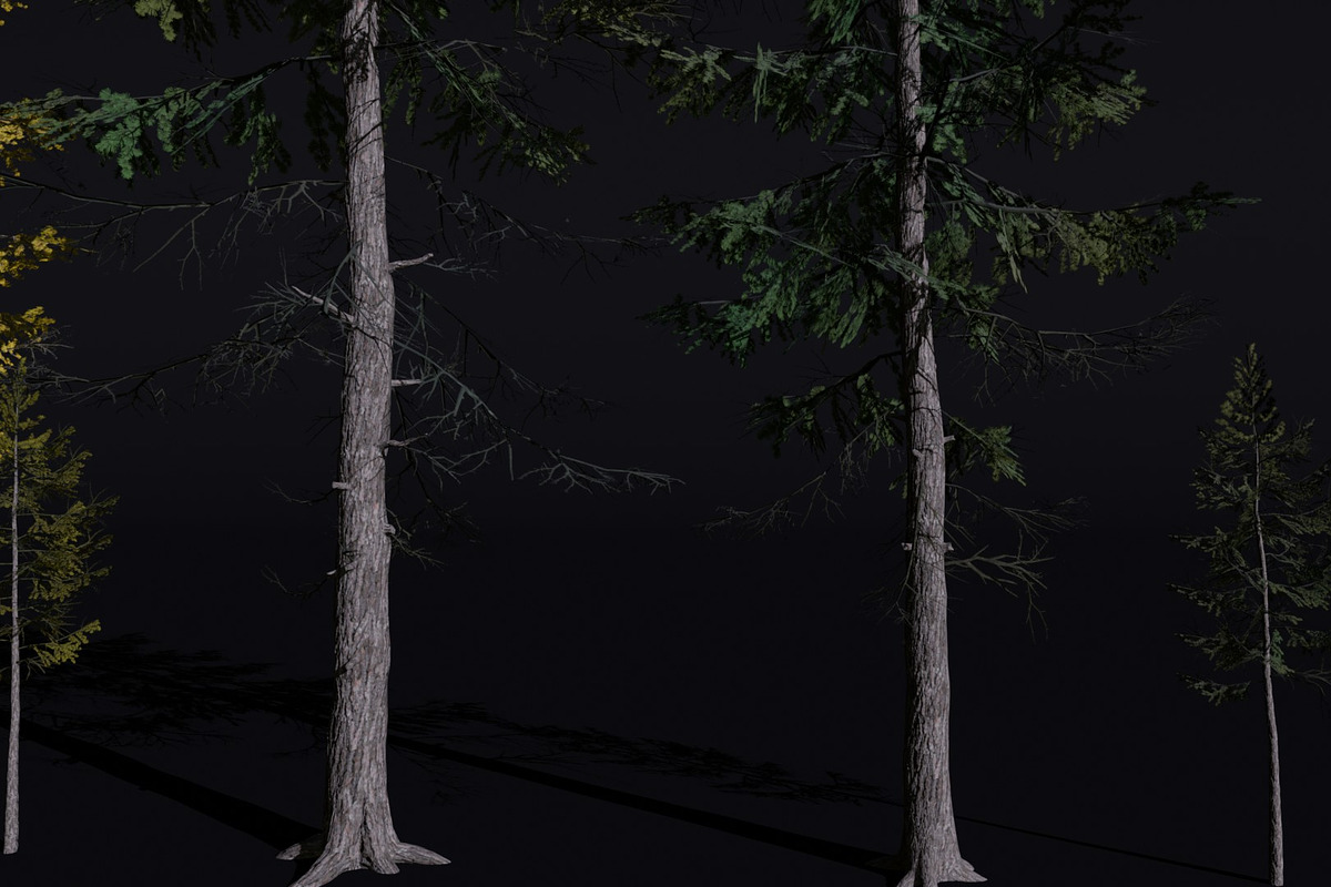 The European Larch Tree, a Plants & Tree 3D Model by FuturePastCreatives (Photo 2 of 9)