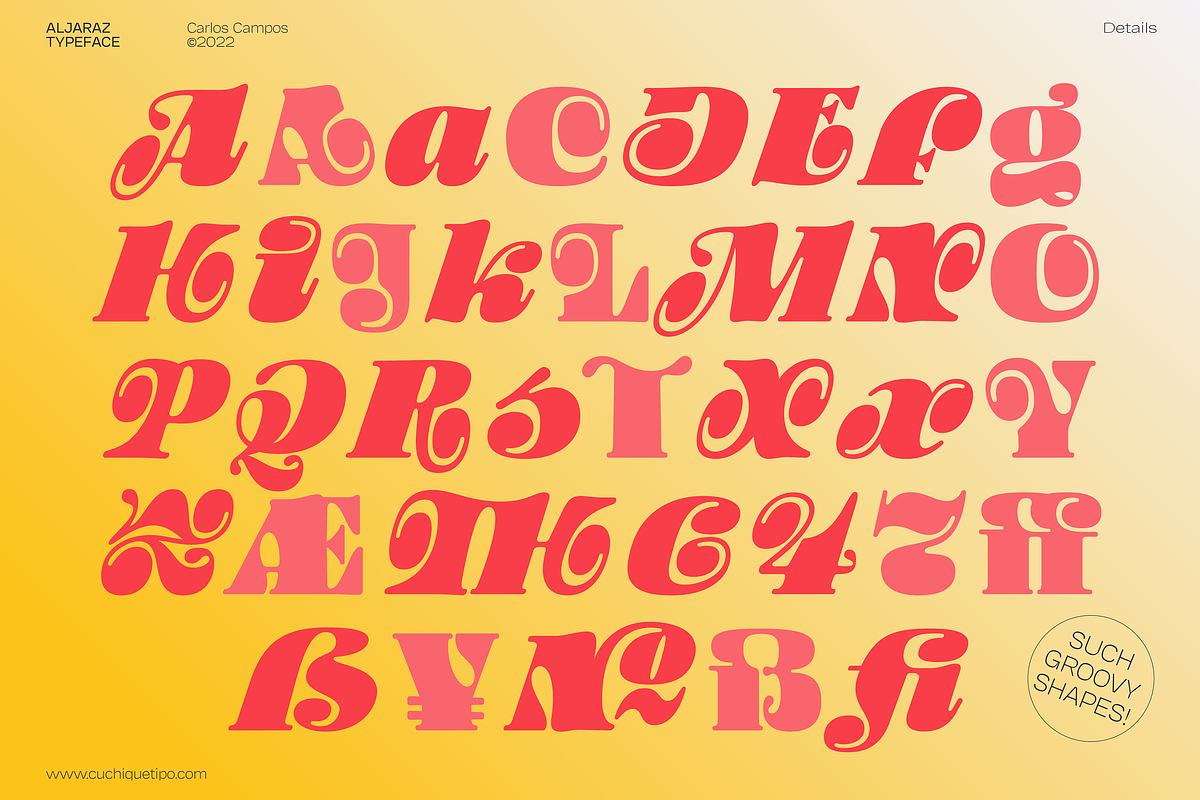 Aljaraz Font, a Serif Font by Cuchi, qué Tipo! Foundry (Photo 11 of 15)