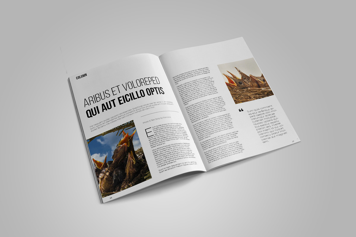 Cultura Magazine Template, a Magazine Template by Bookrak Graphic Design (Photo 8 of 9)