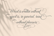 Donaparte, a Script Font by Slex Studio (Thumbnail 6 of 10)
