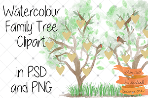 Family Tree clipart, Watercolour,