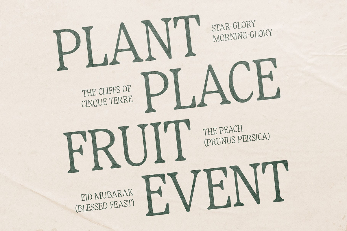 CS Melisa – Elegant Font, a Serif Font by Craft Supply Co. (Photo 4 of 8)