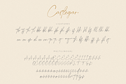 Castlegar Script, a Script Font by FactoryType Studio (Thumbnail 10 of 12)