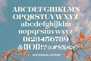 Evorine Stylish Serif, a Serif Font by Letterhend Studio (Thumbnail 5 of 11)