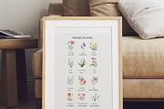 Watercolor Birthmonth florals Set, a Decorative Illustration by Grace Noboa Illustrations (Thumbnail 8 of 10)