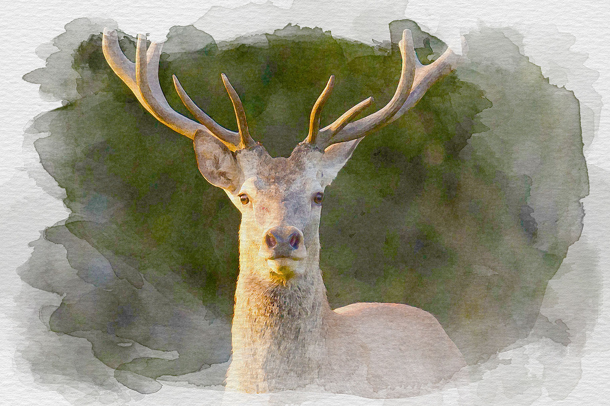 Watercolor Painting Effect, a Layer Style Add-On by Shyeno (Photo 9 of 9)