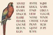 EKGIERO — Elegant Luxury Serif Font, a Serif Font by Enxyclo Studio (Thumbnail 3 of 21)