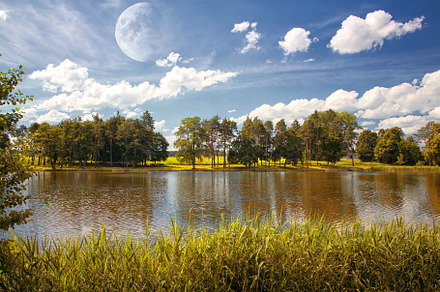 park in the summer, a Photo by Pictures for you!!!!!!!!!