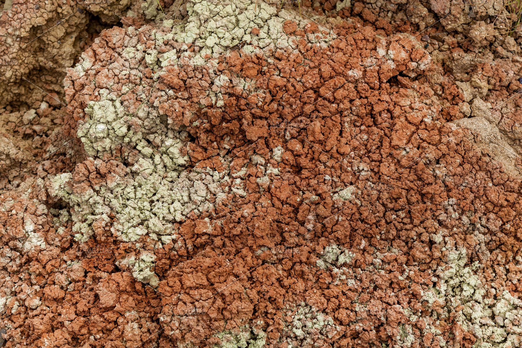 Texture of dry land, an Abstract Photo by Photostock