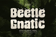 Beetle Gnatic | Cute Playful Font