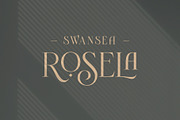 Novante | Display Serif, a Serif Font by Arterfak Project (Thumbnail 3 of 13)