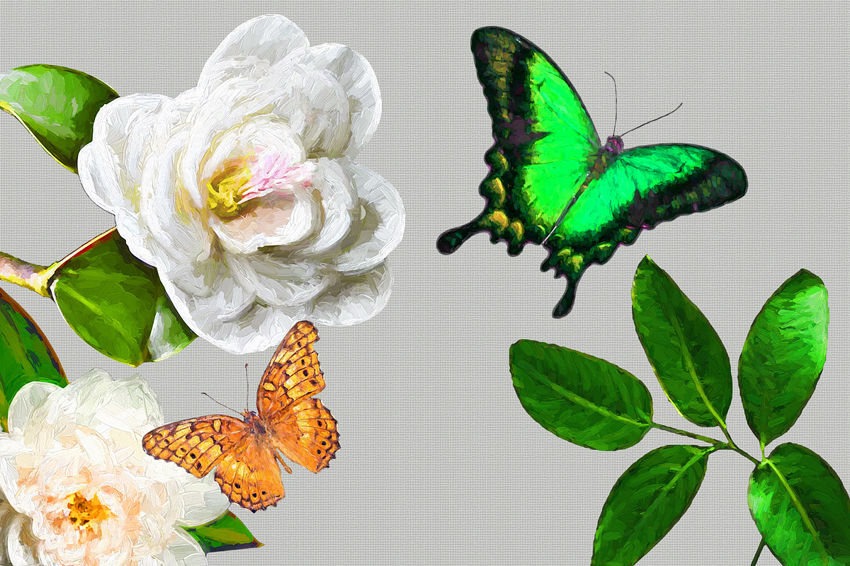 Tropical Oil Motives - PNG Files Set, an Object Illustration by Kseniya-Omega (Photo 4 of 9)