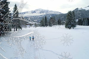Snow 2 Styles Transitions 1 AEP