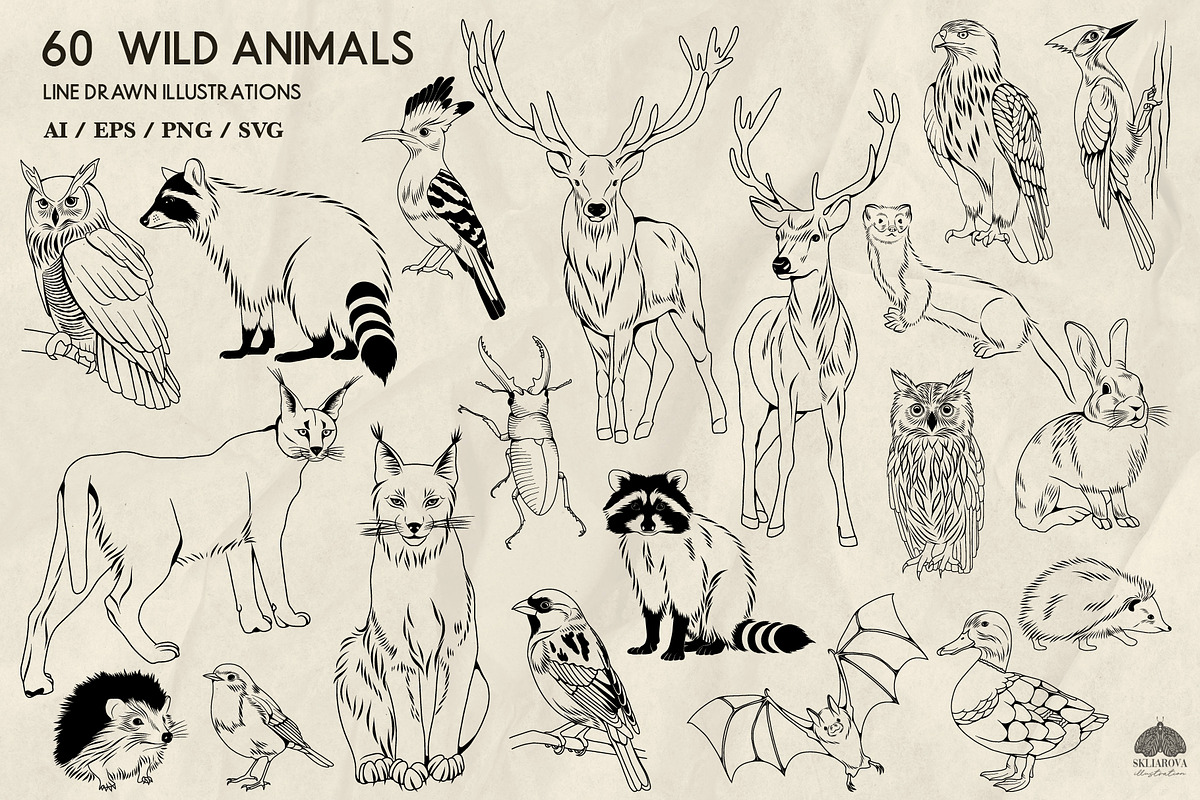 Wild Animals Line Art + Procreate, an Animal Illustration by Skliarova (Photo 2 of 4)
