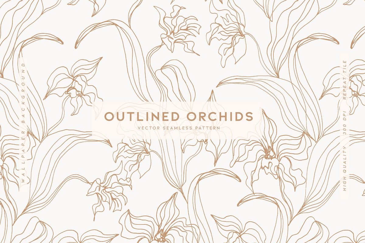 Outlined Orchids, a Decorative Illustration by MalyskaStudio (Photo 1 of 11)