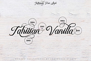 Bulliandry | Modern Calligraphy, a Script Font by Analogous (Thumbnail 6 of 14)