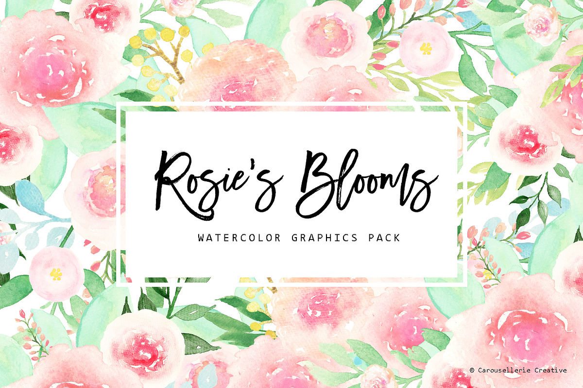 Rosie's Blooms - Watercolor Flowers, an Illustration by Carousellerie Creative (Photo 1 of 3)