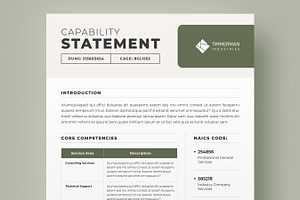 Capability Statement Template, a Brochure Template by Niofix