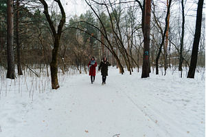 Two people walking in a snowy forest, an Animal Photo by darksoul72