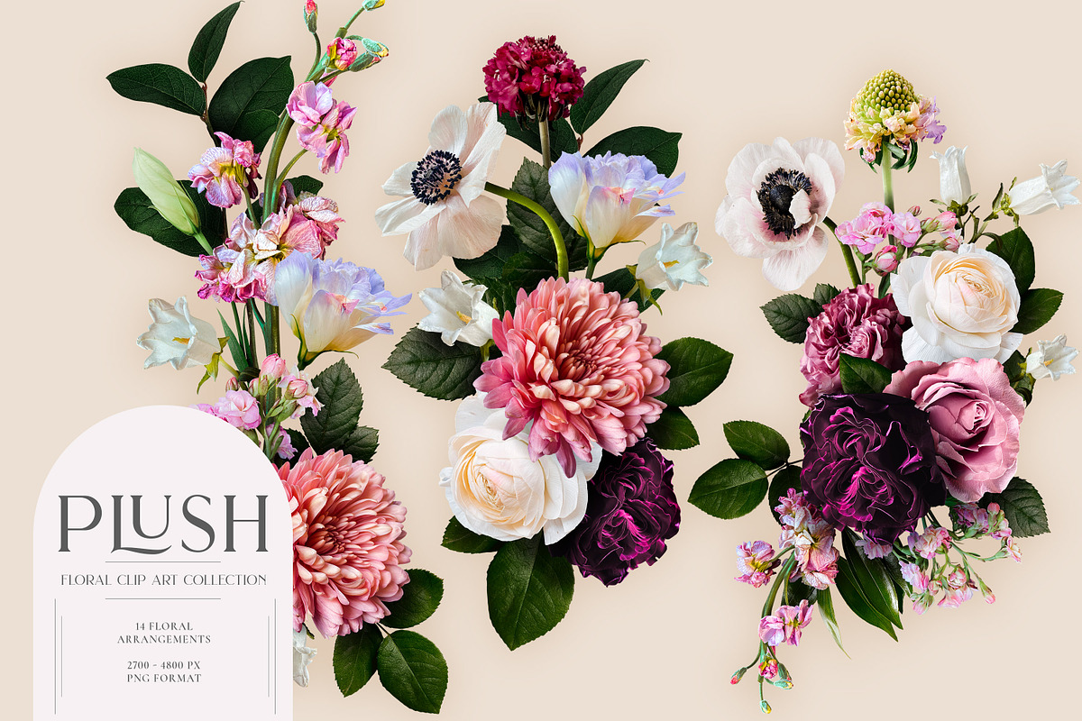 Plush Floral Clip Art, an Object Graphic by Eclectic Anthology (Photo 5 of 19)