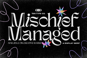 TAN - MISCHIEF, a Serif Font by TanType