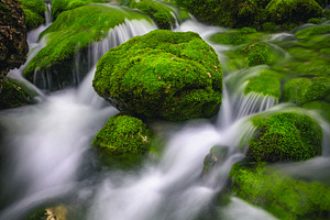 Stunning woodland source and cascade, a Nature Photo by Alpine Dreams