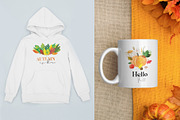 Autumn collection, a Background Graphic by ViktoriaLapshyna (Thumbnail 10 of 10)