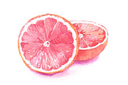 Pink watercolour collection, a Food Illustration by masha gross (Thumbnail 3 of 4)