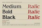 Luciferum - Serif font family, a Serif Font by Artistic & Unique (Thumbnail 7 of 15)