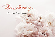 Helena Stylish Script Font, a Script Font by Urs Studio (Thumbnail 2 of 10)