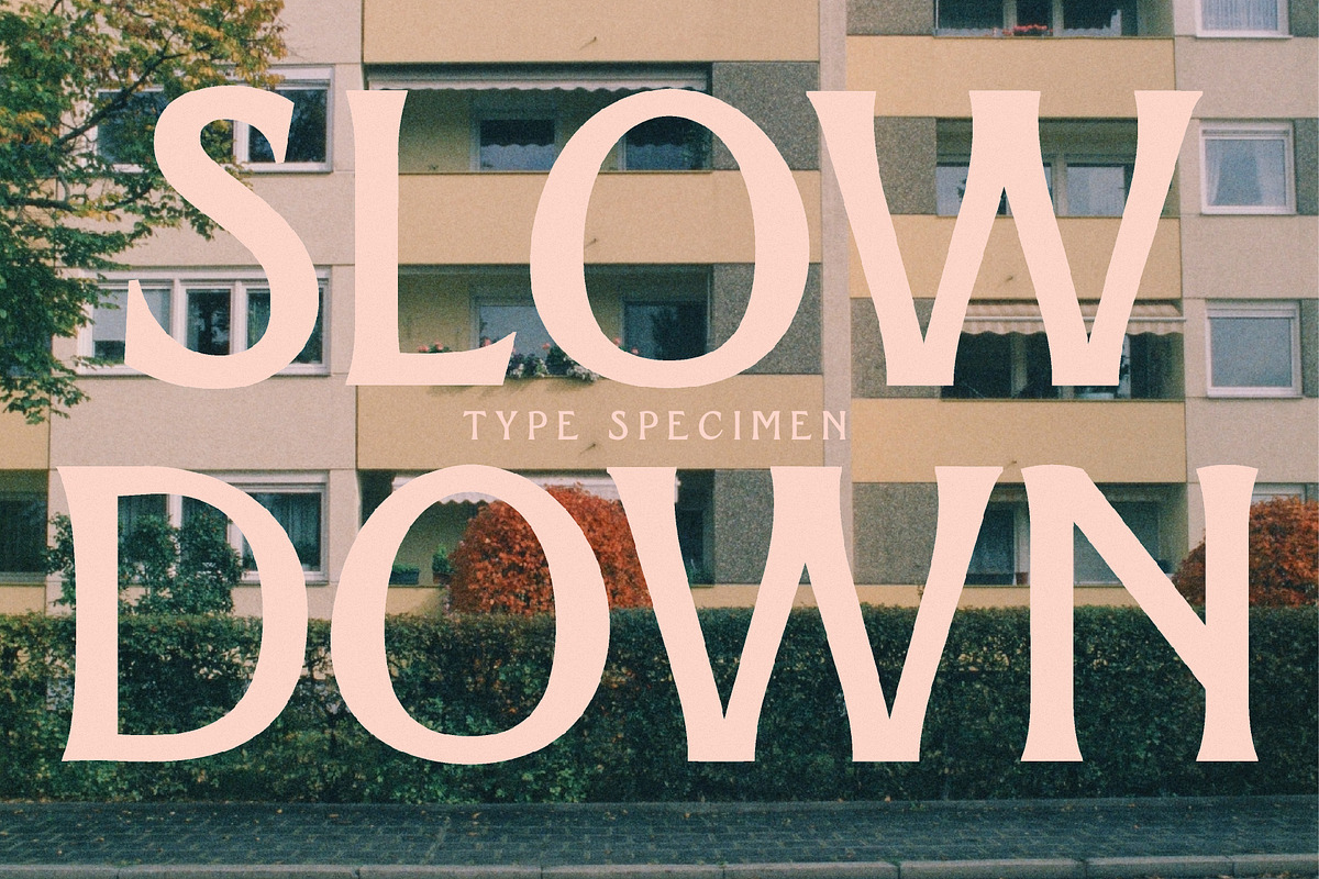 Catamaran - Vintage Font, a Serif Font by Tropical Type (Photo 9 of 9)