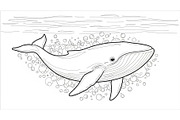 Whale Line Art Vector Bundle, an Illustration by yasushie (Thumbnail 48 of 51)