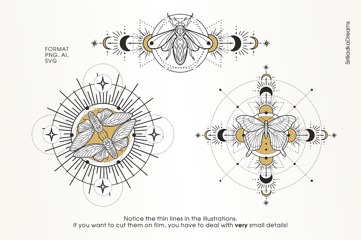 Skakralny geometry and beetles, an Illustration by Siriliadka Dreams (Photo 10 of 10)