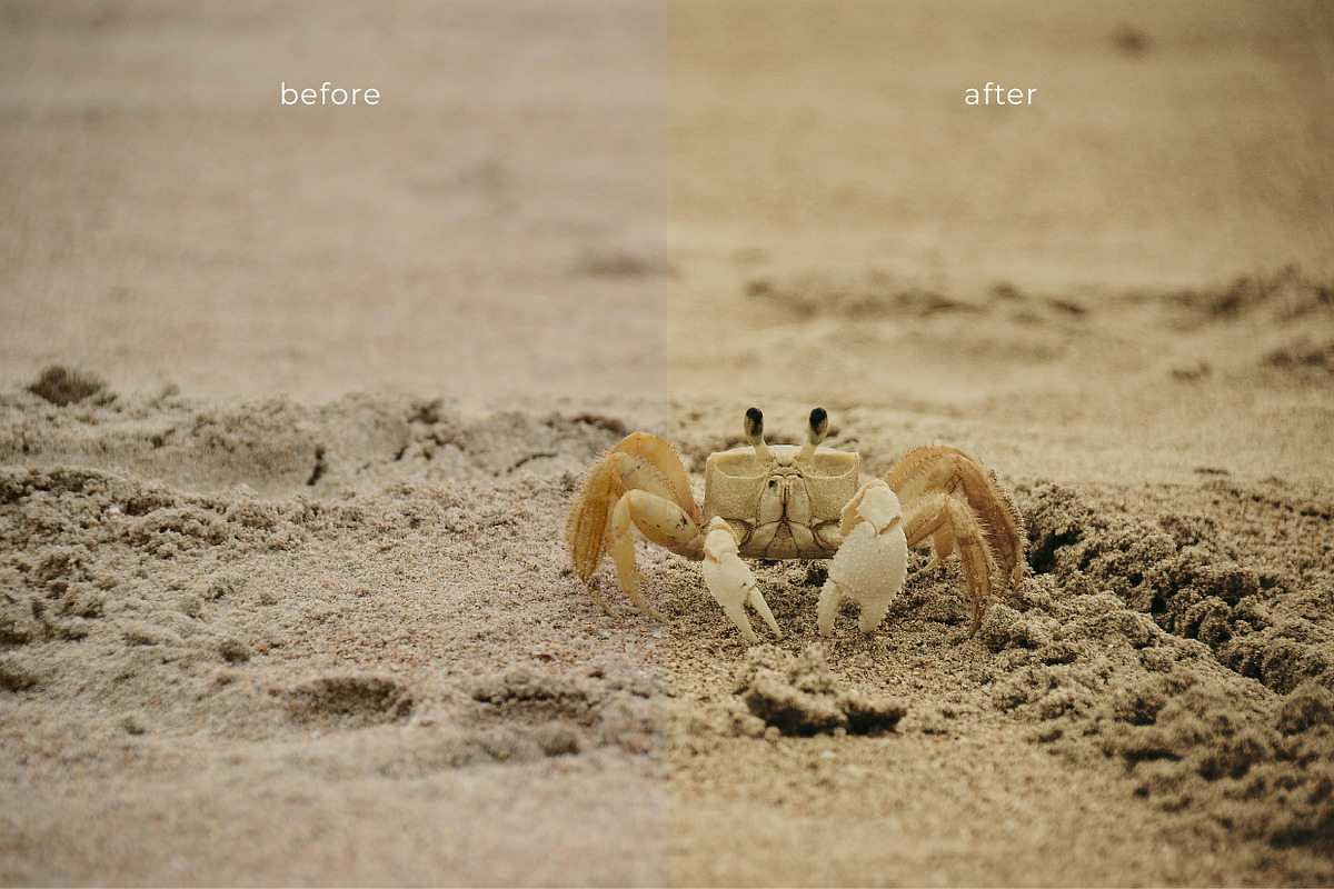 LR presets Selva, a Preset Add-On by Emi Martinez Diana (Photo 5 of 7)