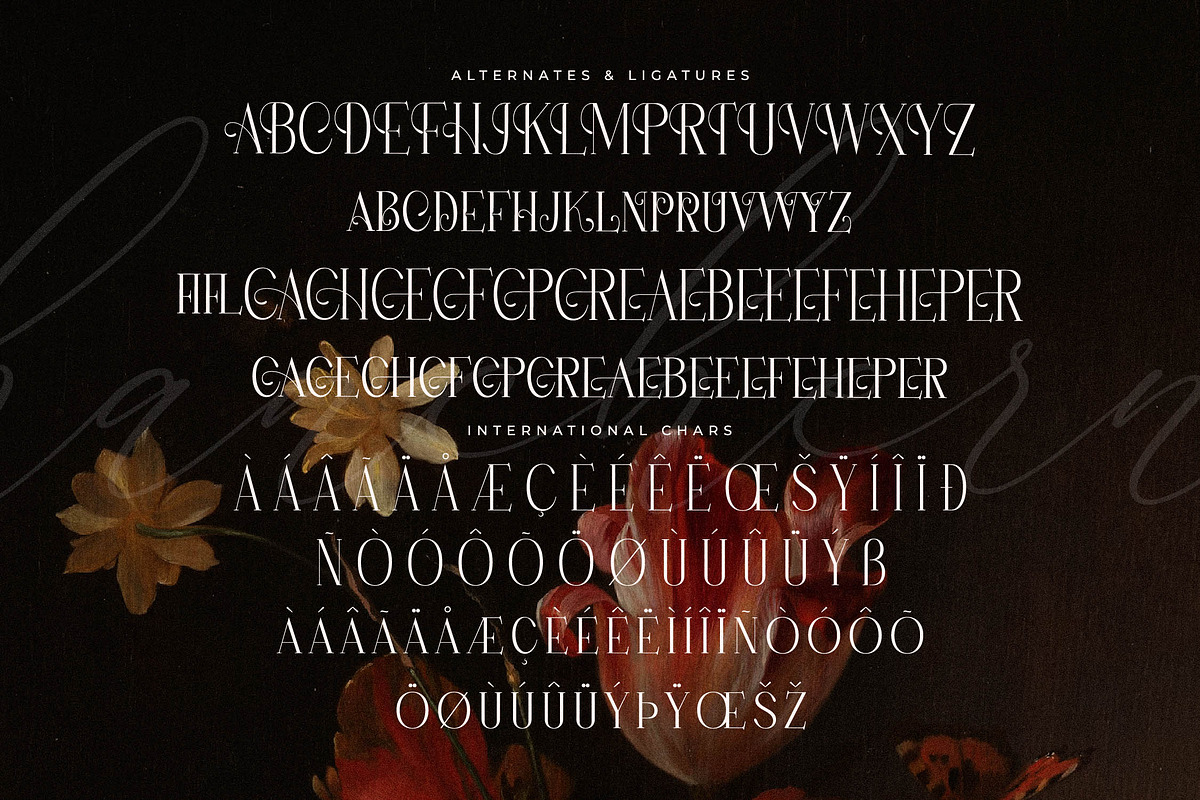 Hanchern Display Serif Font, a Serif Font by Storytype Studio (Photo 14 of 15)