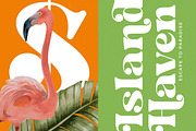 Bright Fresh Bold Retro Serif, a Serif Font by timelesstype.co (Thumbnail 3 of 20)