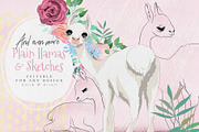 Oh La La Llama, an Animal Illustration by Anna Babich (Thumbnail 4 of 9)
