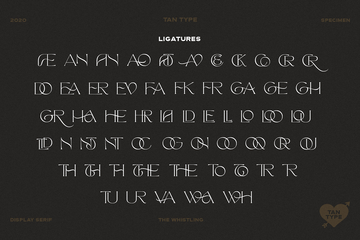 TAN - The Whistling, a Serif Font by TanType (Photo 8 of 35)