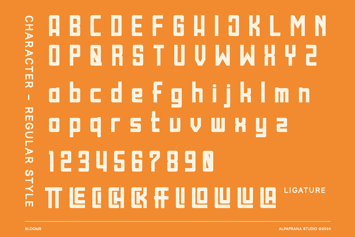 Blooms - Display Font, a Sans Serif Font by Alpaprana (Photo 8 of 11)