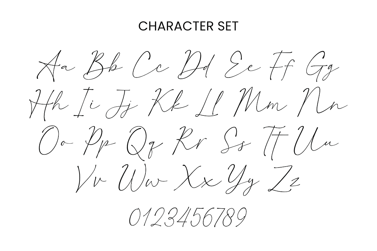 Raffishly - a Modern Script Font, a Script Font by Ali Hamidi (Photo 8 of 9)