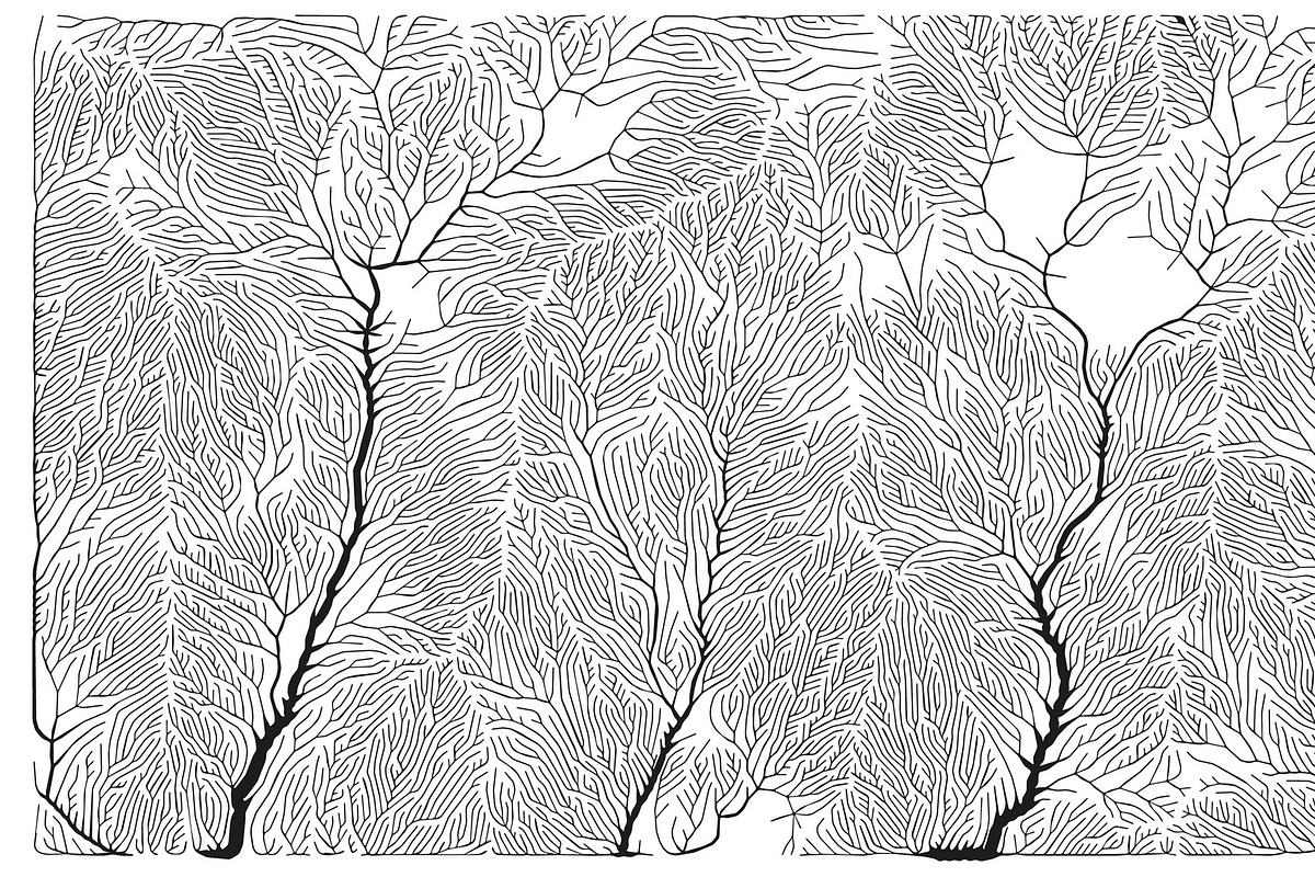 Growth - 50 Backgrounds, a Texture Graphic by GarryKillian (Photo 50 of 51)