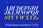 Vintage Press Font Duo, a Serif Font by Lilithcollageart (Thumbnail 14 of 16)