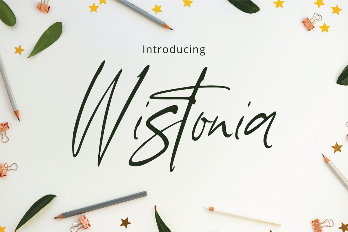 Wistonia - Handwritten Signature, a Script Font by tebaltipislab (Photo 1 of 7)